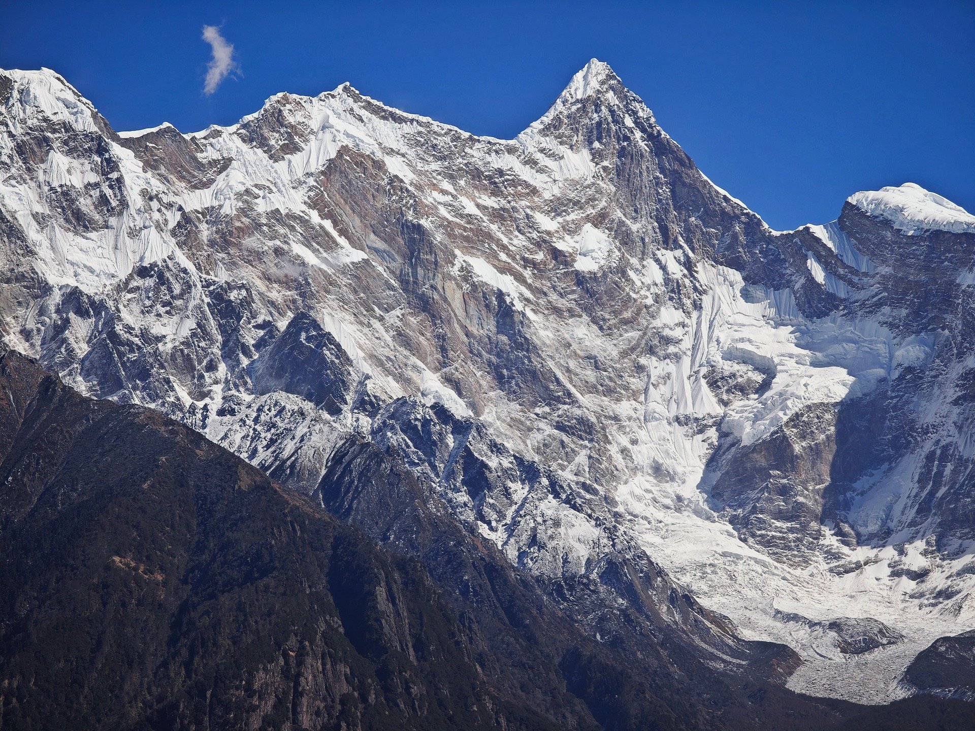 请保留最初的你