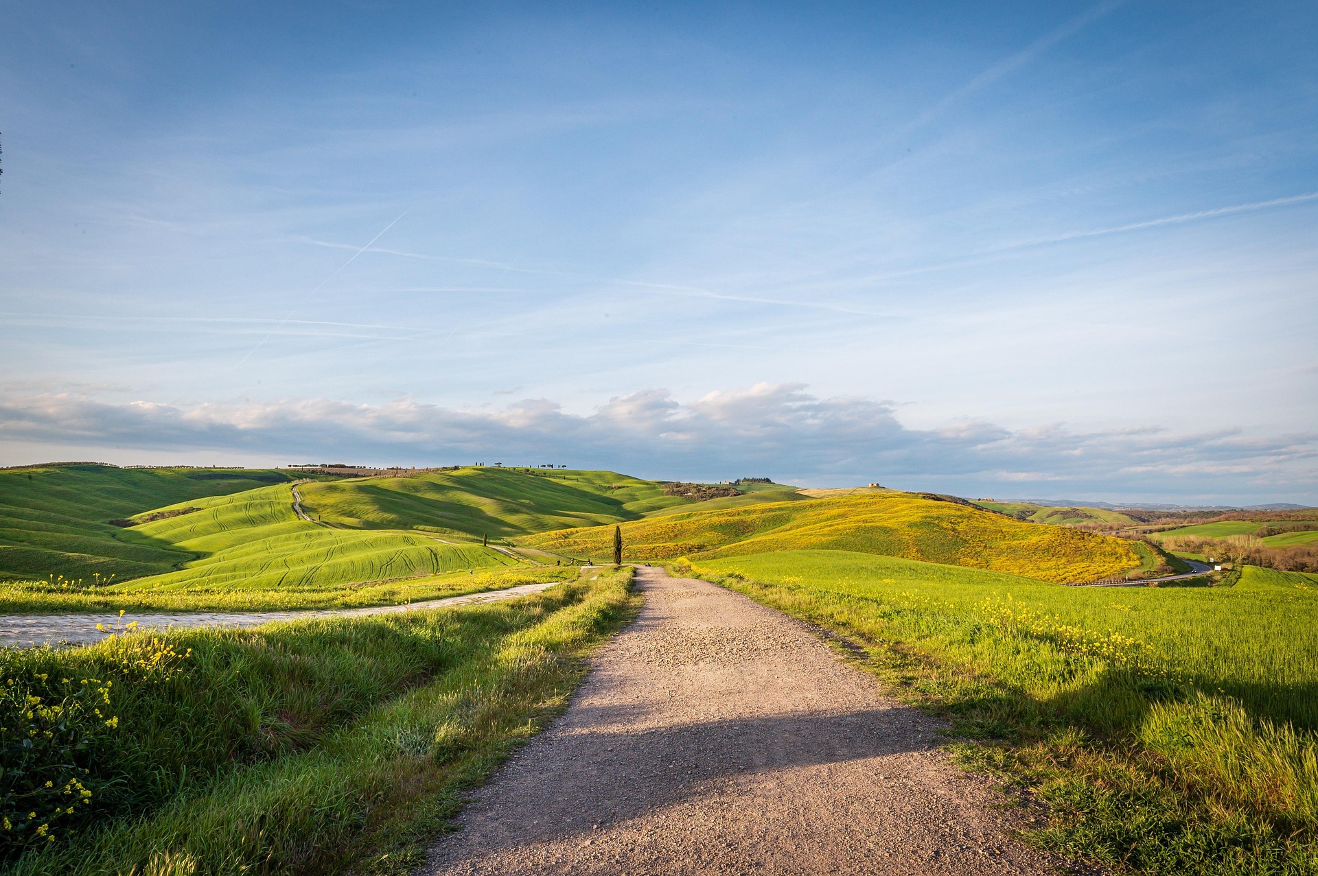 LINUX的版本及各种发行版的区别